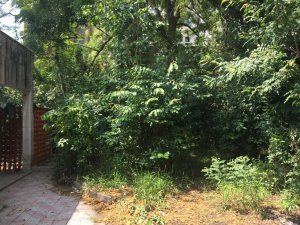 Casa com 465m², 6 dormitórios, 2 vagas, Higienópolis em Porto Alegre