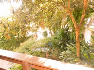 Casa com 285m², 5 dormitórios, 2 suítes, 6 vagas, Jardim Botânico em Porto Alegre