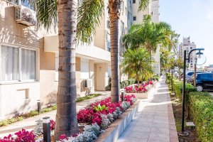 Apartamento com 62m², 3 dormitórios, 1 suíte, 1 vaga, Sarandi em Porto Alegre