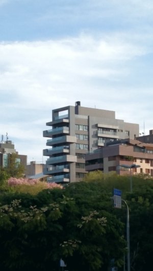 Apartamento com 256m², 3 dormitórios, 3 suítes, 4 vagas, Moinhos De Vento em Porto Alegre