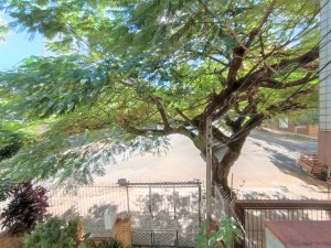 Casa com 235m², 4 dormitórios, 2 vagas, Petrópolis em Porto Alegre