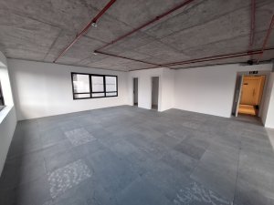 Salas/Conjuntos com 290m², 4 vagas, Higienópolis em Porto Alegre